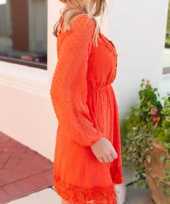 D & J Industries This One's For The Ladies Dress - Rust Sale!