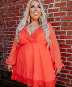 D & J Industries This One's For The Ladies Dress - Rust Sale!