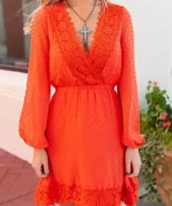 D & J Industries This One's For The Ladies Dress - Rust Sale!